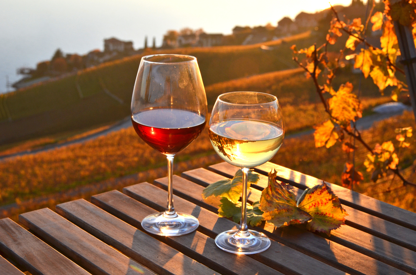 Vini da bere in autunno: i migliori della stagione